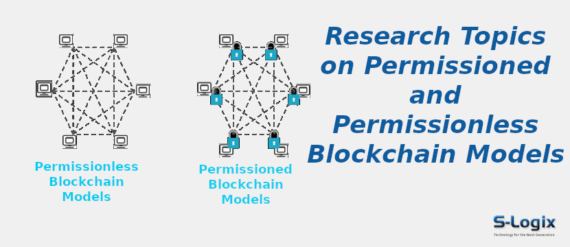 Open Gates: Navigating Permissionless Blockchain Platforms