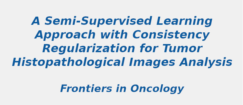 a-semi-supervised-learning-approach-with-consistency-regularization-for-tumor-histopathological-images-analysis.jpg