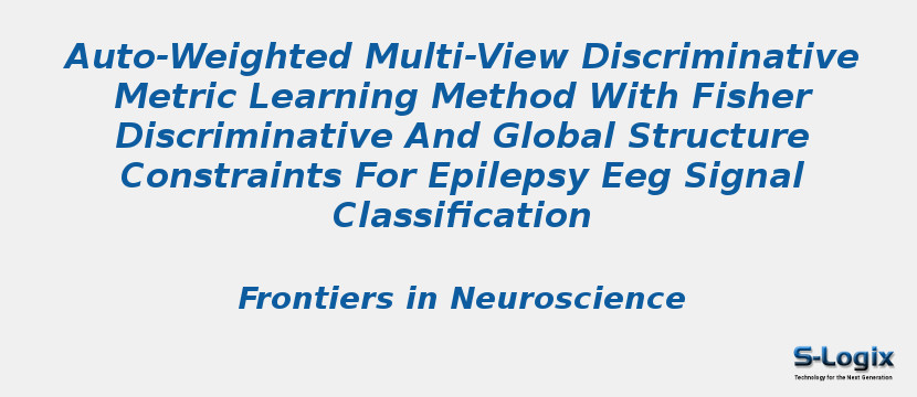 Auto-Weighted Multi-View Discriminative Metric Learning Method With Fisher Discriminative And Global Structure Constraints For Epilepsy Eeg Signal Classification