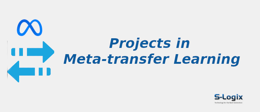 projects-in-meta-transfer-learning.jpg