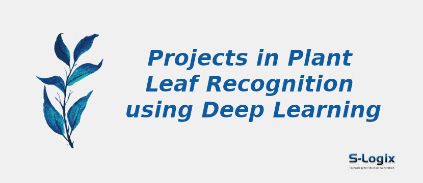 Python Projects in Plant Leaf Recognition using Deep Learning | S-Logix