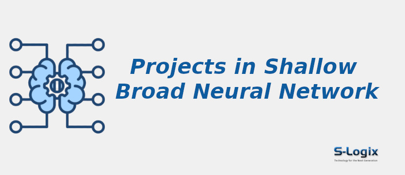 projects-in-shallow-broad-neural-network.jpg