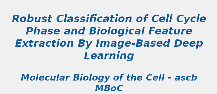 robust-classification-of-cell-cycle-phase-and-biological-feature-extraction-by-image-based-deep-learning.jpg