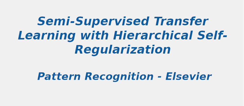 semi-supervised-transfer-learning-with-hierarchical-self-regularization.jpg