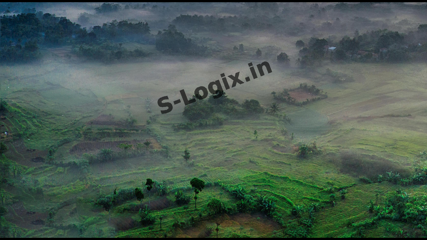 Bottom-left part of the Image