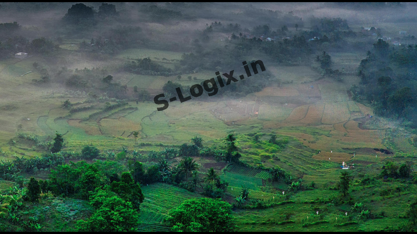 Bottom-right part of the Image